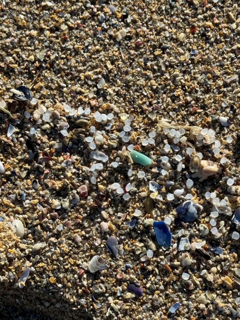 Plastic pellets in the sand. Photo by UVIGO.